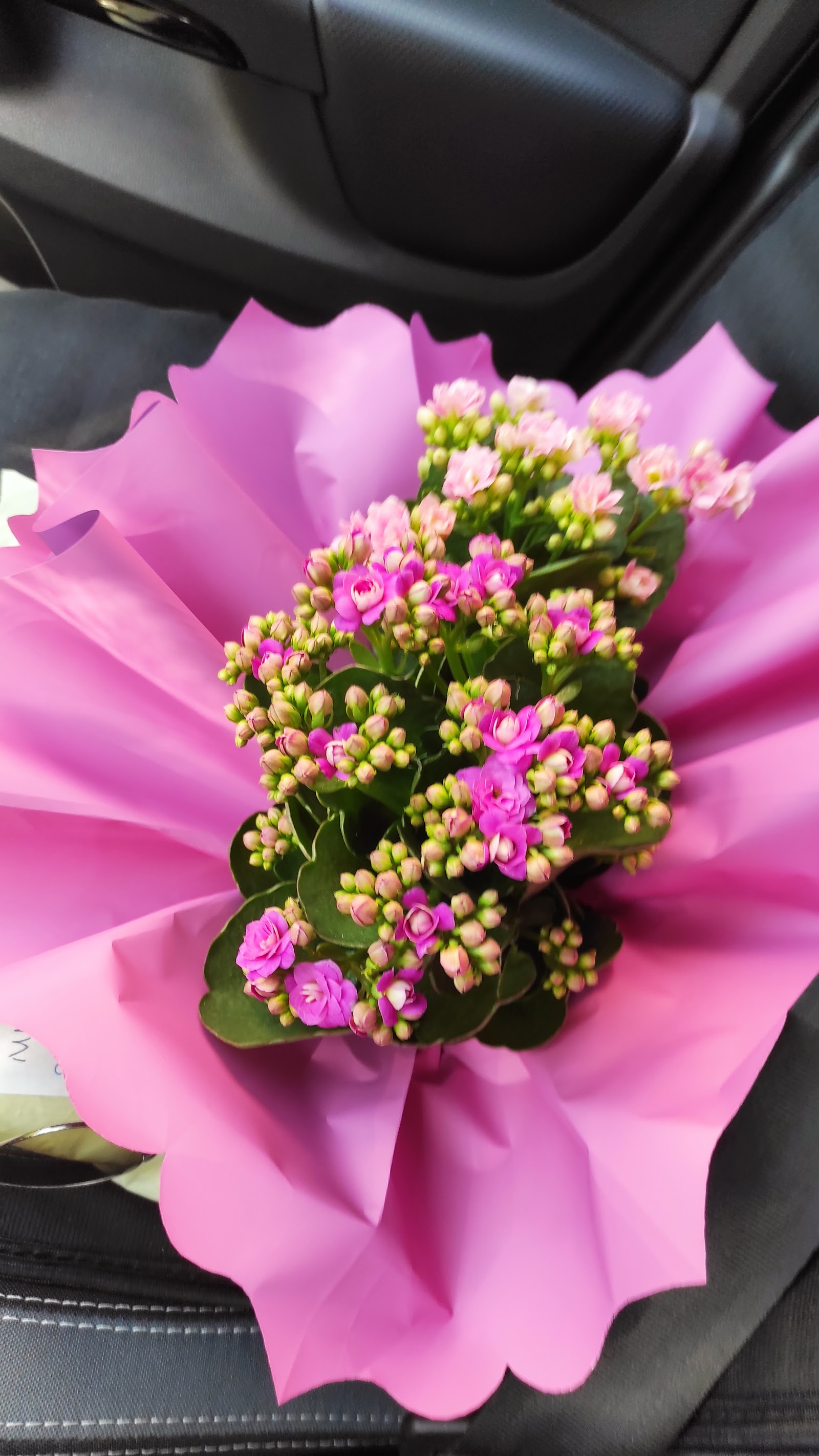 Aksaray Flower World