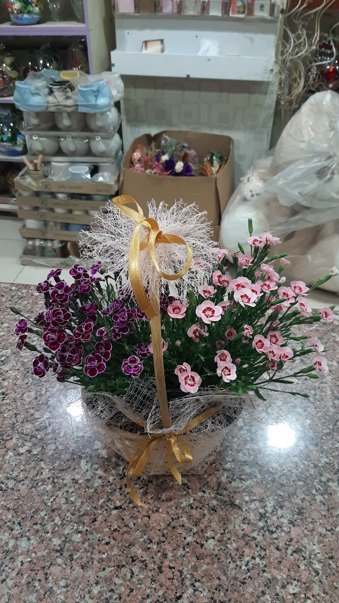 Aksaray Flower World
