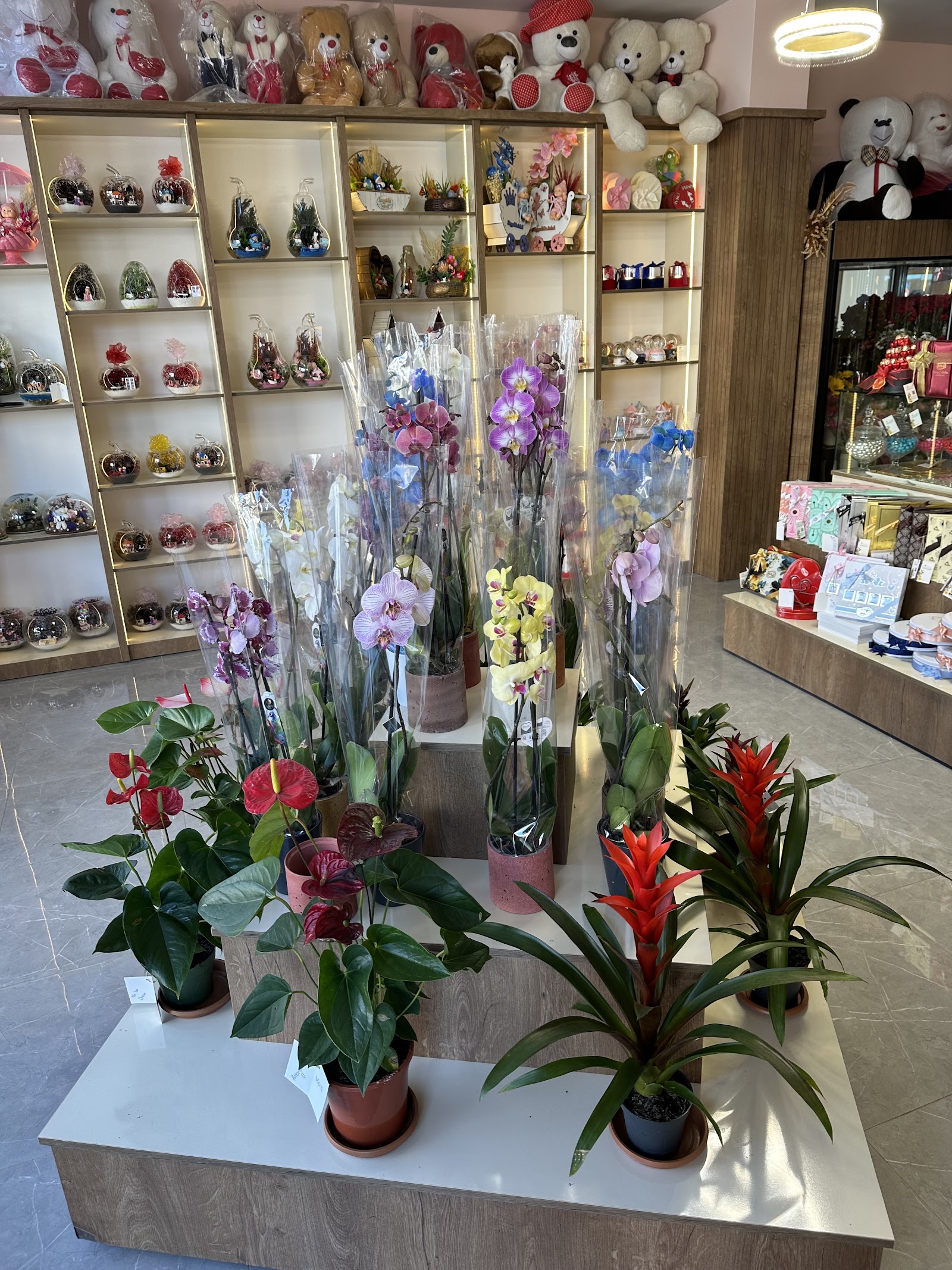 LİLYUM FLOWER & CHOCOLATE
